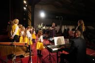 vánoční koncert 12.12.2023 [nové okno]