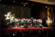 vánoční koncert 12.12.2023 [nové okno]