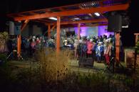 Vánoční koncert - společná píseň [nové okno]