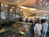 6.C Náprstkovo muzeum [nové okno]