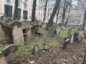 Židovská Praha 7.C [nové okno]