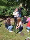 přesazujeme květiny 4.B [nové okno]