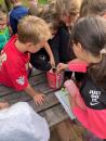 5.A projekt Přírodověda [nové okno]